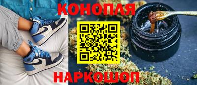 сатива Малоярославец