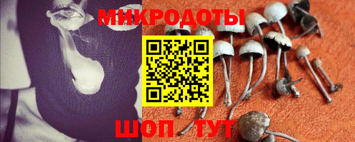 Псилоцибиновые грибы Cubensis  Галлюциногенные грибы прущие грибы  дарнет шоп  Вход с VPN  Бугуруслан 