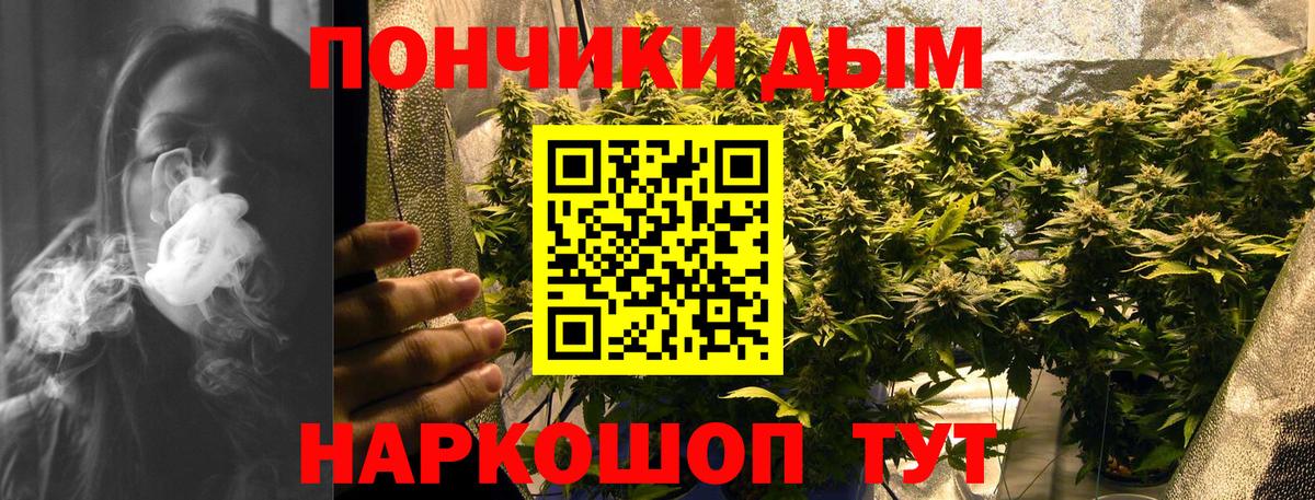 Шишки марихуана Bruce Banner  Марихуана планчик  Шишки марихуана THC 21%  Бугуруслан  Вход с VPN 